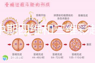 孕中期四維和三維彩超檢查區別真不小，看完便知誰更好