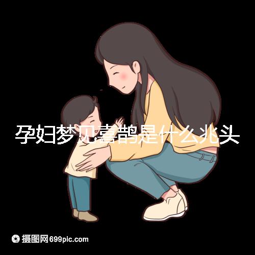 孕婦夢(mèng)見喜鵲是什么兆頭?4種情形夢(mèng)境解讀
