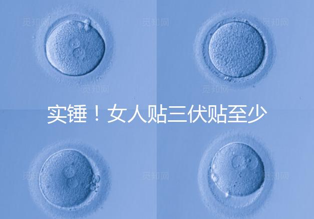 實(shí)錘！女人貼三伏貼至少有這6點(diǎn)好處，提高免疫力是其一