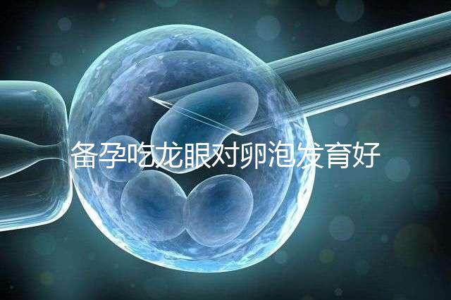 備孕吃龍眼對卵泡發育好處多，前提：發芽禁止食用