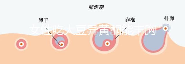 女性吃大豆異黃酮能豐胸？別再被這些虛假廣告給忽悠了