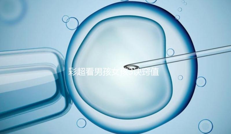 彩超看男孩女孩3訣竅值的一學(xué),熟記于心3秒測出性別