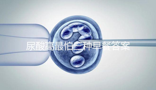 尿酸高最怕三種早餐答案來了，孕期能不能吃包子一覽了然