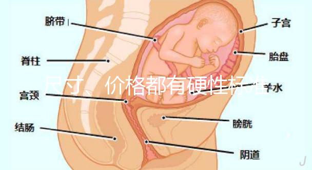 尺寸、價格都有硬性標準，選擇雙胞胎嬰兒床決不可大意！