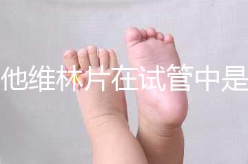 屈他維林片在試管中是否有副作用，導致胎停不是空穴來風