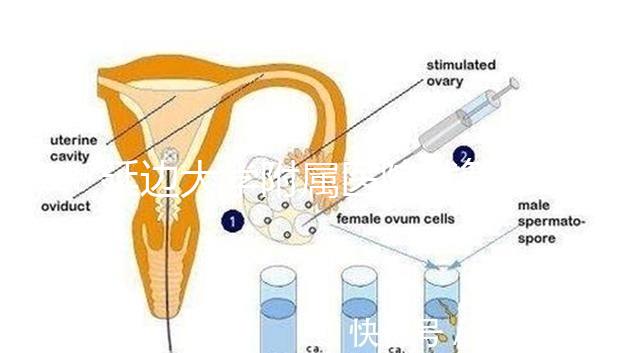 延邊大學附屬醫院試管怎么樣，助孕成功率、收費目錄表奉上