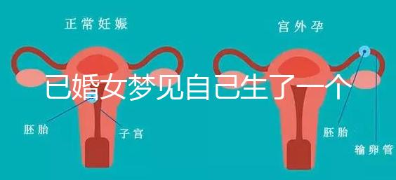 已婚女夢見自己生了一個男孩有預(yù)示，是不是胎夢顯而易見