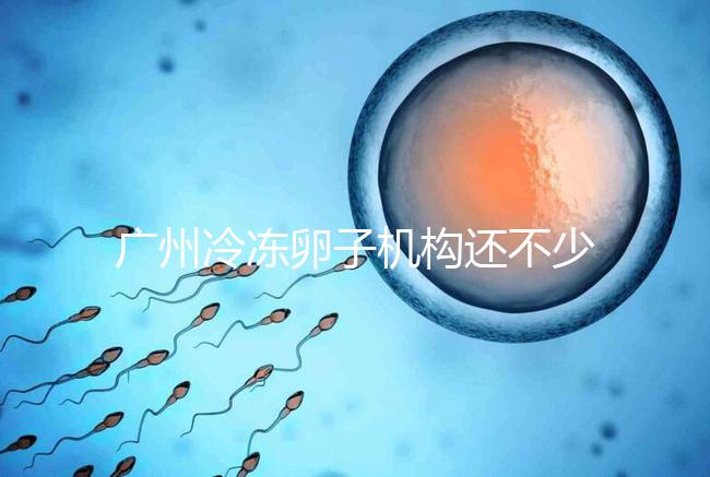 廣州冷凍卵子機構還不少，但國內凍卵這些條件你達成了嗎？