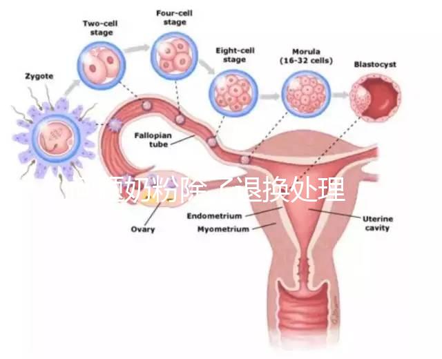 問題奶粉除了退換處理，還可要求十倍標準的賠償金