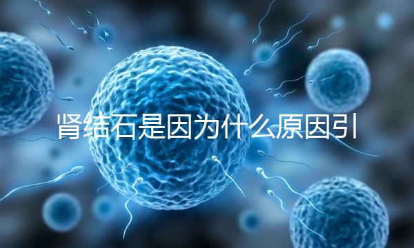 腎結(jié)石是因為什么原因引起的（腎結(jié)石是因為什么原因引起的19歲）