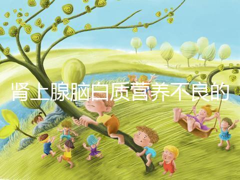 腎上腺腦白質營養不良的遺傳概率，如何避免遺傳？