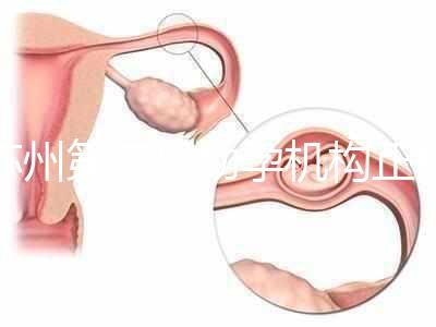 蘇州第三代助孕機構正規可靠嗎？實地考察才為真