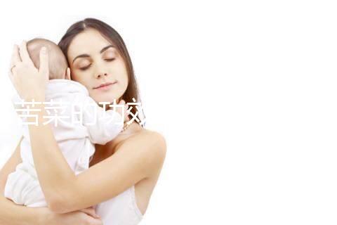 苦菜的功效與作用（苦菜的功效與作用圖片野菜）