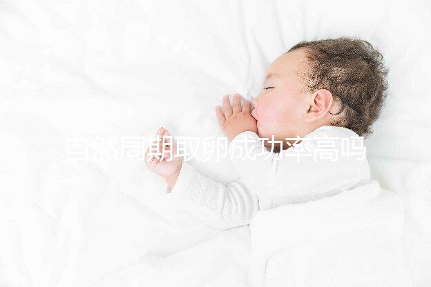 自然周期取卵成功率高嗎？過來人淺談一次成功經驗