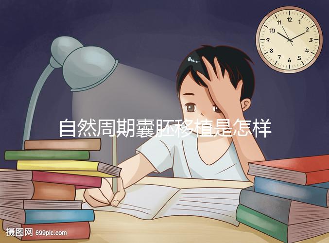 自然周期囊胚移植是怎樣的？5個步驟囊括所有流程