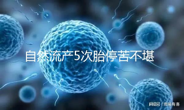 自然流產5次胎停苦不堪言， 試管嬰兒助孕一朝分娩喜之不盡！