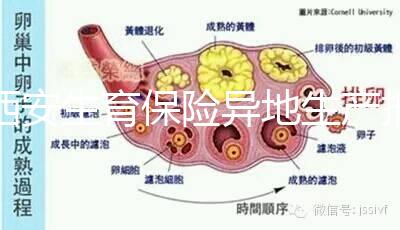 西安生育保險異地生產報銷流程及程序公開，不懂收藏