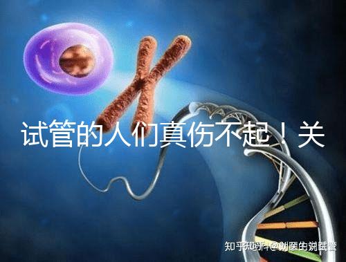 試管的人們真?zhèn)黄?！關(guān)于養(yǎng)囊的成功率這些你得知道