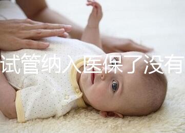 試管納入醫(yī)保了沒有