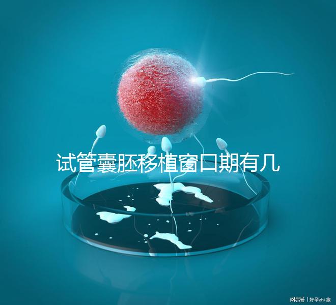 試管囊胚移植窗口期有幾天看這，弄明白什么時(shí)候更易著床
