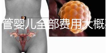 試管嬰兒全部費用大概要多少錢？