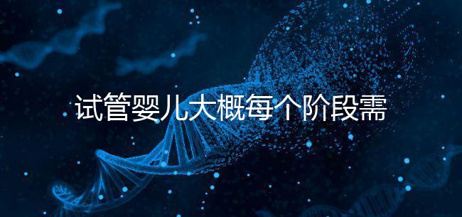 試管嬰兒大概每個階段需要花到多少錢呢？