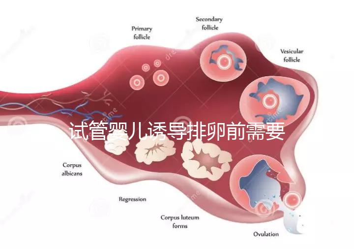 試管嬰兒誘導排卵前需要做哪些準備工作？