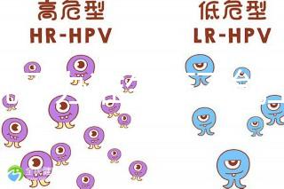 誰說不辦準生證不能上戶，2020年生育新政策了解下！