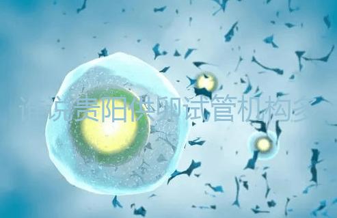 誰說貴陽供卵試管機構多給錢就不用排隊，醫生：不亂收費