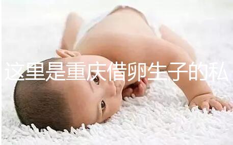 這里是重慶借卵生子的私立好醫(yī)院，附2024前三機構(gòu)詳細(xì)介紹