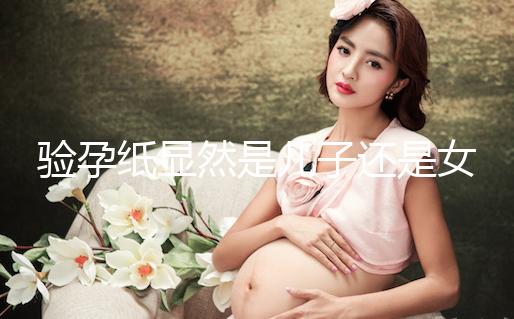 驗孕紙顯然是兒子還是女兒看到了兩條線,準備懷孕的收藏