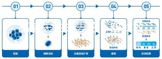高齡失獨夫妻的“自我救贖”，為什么大都會選擇做試管嬰兒？