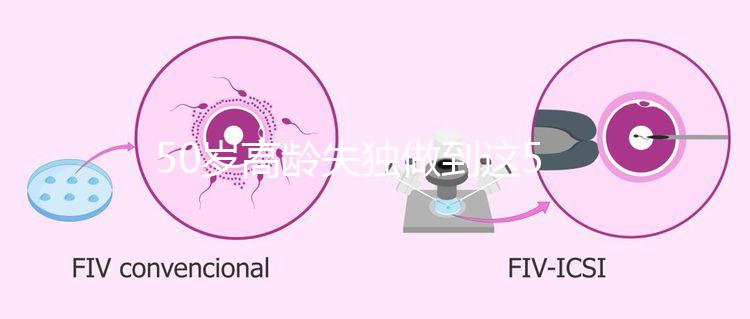 50歲高齡失獨(dú)做到這5點(diǎn)，自然受孕率幾率也能很高！
