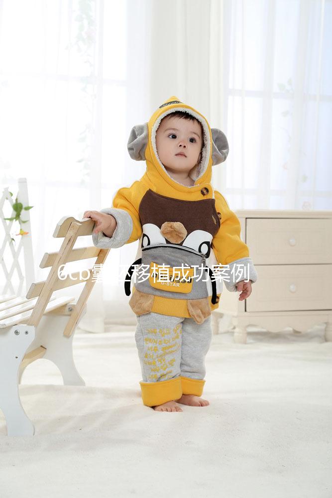 6cb囊胚移植成功案例并不少！過來人分享經(jīng)驗(yàn)帶你好孕