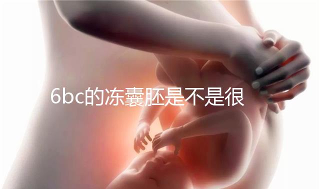 6bc的凍囊胚是不是很差？3分鐘帶你了解胚胎質(zhì)量和級(jí)別