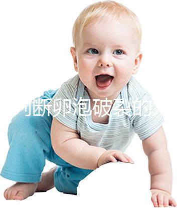 b超判斷卵泡破裂的方法都out了！彩超數據顯示更直觀