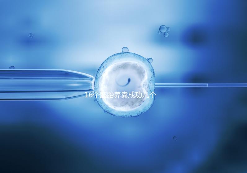 16個胚胎養囊成功幾個說不準，11個概率高不高真不一定
