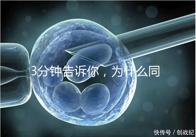 3分鐘告訴你，為什么同卵雙胞胎不會是龍鳳胎