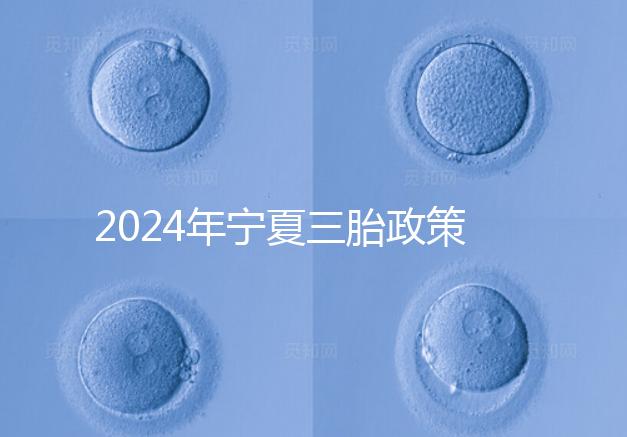 2024年寧夏三胎政策最新規(guī)定來襲，附西夏區(qū)實(shí)施時間