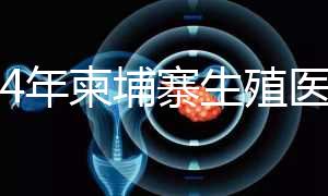 2024年柬埔寨生殖醫(yī)院排名，試管嬰兒都在這里