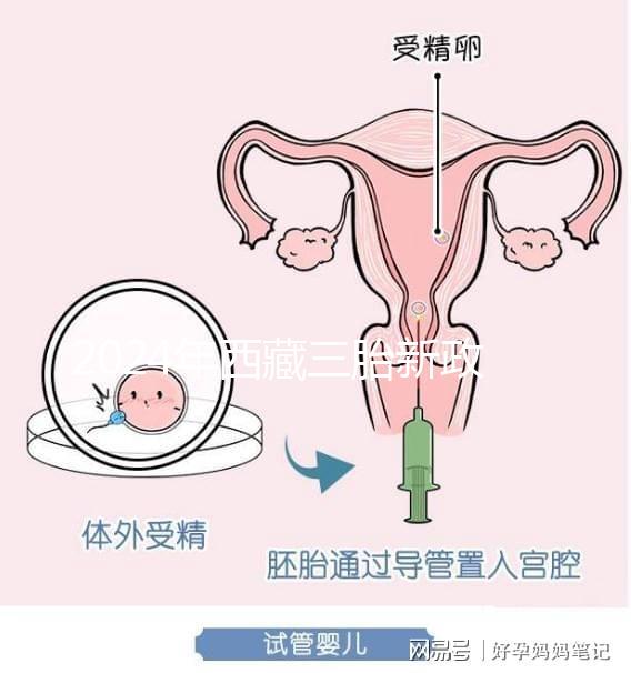 2024年西藏三胎新政策出臺，拉薩、日喀則產假戳多久？
