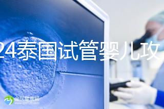 2024泰國試管嬰兒攻略索引：同性，男女選擇大不同