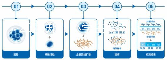 2024鄭州小學(xué)生要早知道入學(xué)條件，別忘了中原區(qū)的這些證件