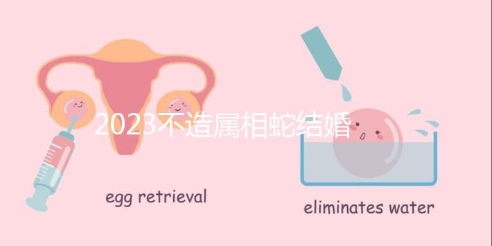 2023不造屬相蛇結婚跟什么相配？切記和屬豬易犯沖