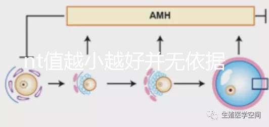 nt值越小越好并無依據(jù)，孩子聰明與否可不能這么判斷